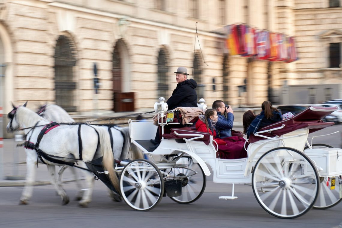 people riding horse carriage on street