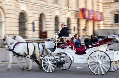 people riding horse carriage on street